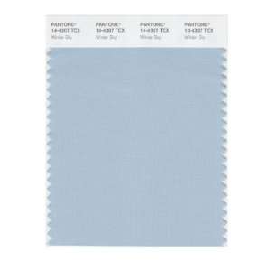  PANTONE SMART 14 4307X Color Swatch Card, Winter Sky