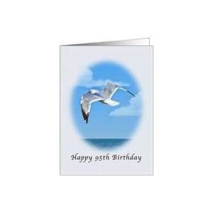  95th Birthday, Ring billed Gull Bird Card Toys & Games
