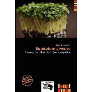  Equisetum arvense (9786138462033) Emory Christer Books
