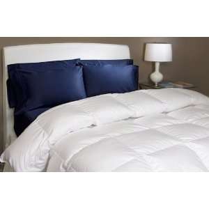  Royal Down Angelika German 100 Percent Cotton White Goose 