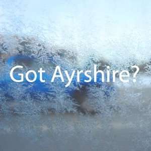 Got Ayrshire? White Decal Beef Cattle Cow Breed Car White 