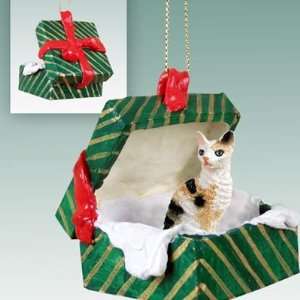  Tortoise & White Cornish Rex Green Gift Box Cat Ornament 