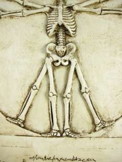 VITRUVIAN MAN Skeleton Wall Plaque Gothic Decor  