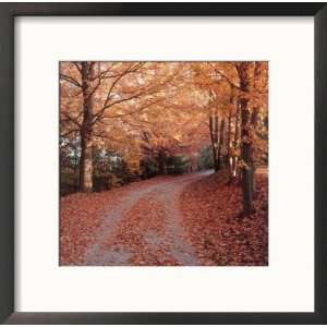 Road Covered with Fall Foliage, Athens, Ohio Framed Photographic 