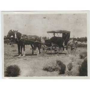   outfit by which we travelled to Zuni from Gallup. 1907