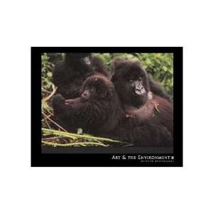 Mountain Gorilla Poster Print