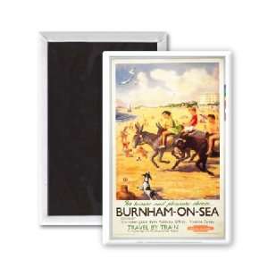 Burnham on sea donkies   For Leisure and   3x2 inch Fridge Magnet 