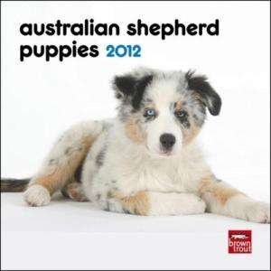 AUSTRALIAN SHEPHERD PUPS 2012 MINI CALENDAR #7662 3  