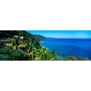 Trees on the Beach, Arapito Beach, Mochima National Park, Anzoategui 