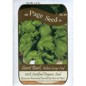  Organic Basil, Genovese (Sweet) Patio, Lawn & Garden
