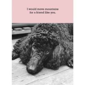 Moving Mountains Poodle Friendship Card