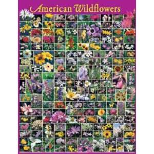   Wildflowers   1000 Piece Puzzle, Across America 