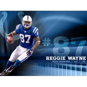Reggie Wayne HD 11x17 Indianapolis Colts #01 HDQ