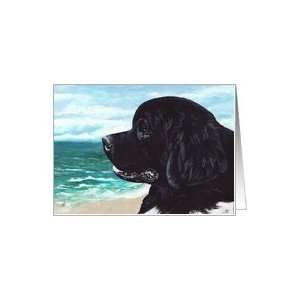 Newfoundland Dog Art Painting Portrait Card