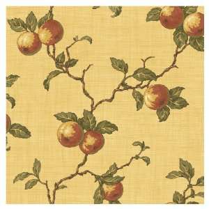  Sunworthy Fruit Scroll Wallpaper PL013711 Kitchen 