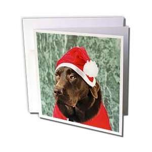 Kike Calvo Christmas Dog   Labrador dog dressed as Santa 