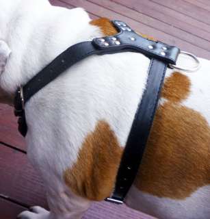 Studs Leather Dog Harness Rottweiler Amstaff 25 33  