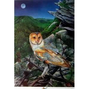  Nocturnal Ghost Barn Owl Poster Signed & Numbered 