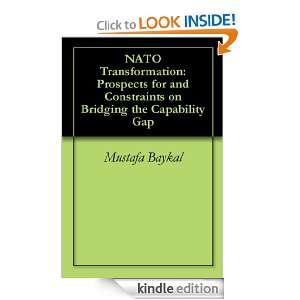 NATO Transformation Prospects for and Constraints on Bridging the 