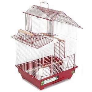  Bird Cage 16X14x24 2/Cs