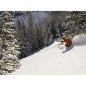  Man Skiing Off Piste in Jupiter Bowl, Utah, USA 