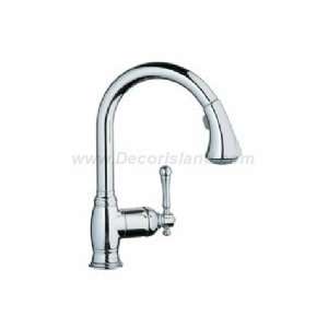  Grohe 33870000 Dual Spray Pull Down