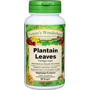  Plantain Leaf Capsules