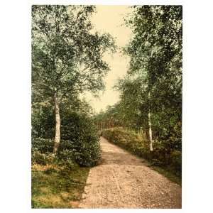  1890s photo Brackendale, the drive, Camberley, England 