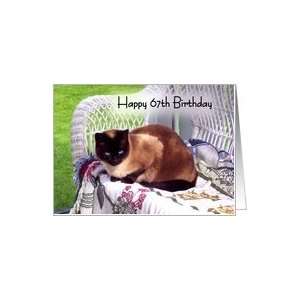  Happy 67th Birthday, Siamese cat on white wicker chair 