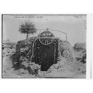  Sakieh (Water Wheel) Mt. Abu