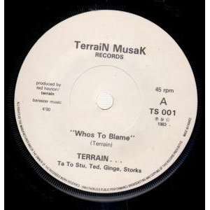   45) UK ISSUE PRESSED IN FRANCE TERRAIN MUSAK 1983 TERRAIN Music