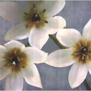    Lily Parfait I   Poster by Janel Pahl (27.5 x 27.5)