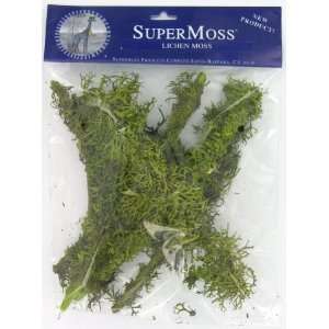  Super Moss 8 Oz Chartreuse Preserved Lichen 23536 1 Patio 
