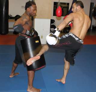 Kickboxing Muay Thai Leg Kick Pad MMA Equipment Gear  