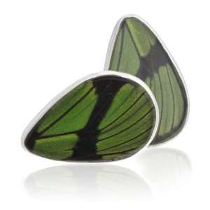  Aymara Green Tea Leaf Butterfly Cufflinks CL AYA 0029 