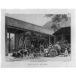  Moulin A Sucre,Sugar Mill,Brazil,1835,cow,hay cart,goat 
