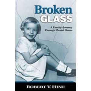 Broken Glass A Familys Journey Through Mental Illness [Paperback]