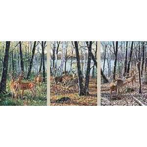  Jim Kasper   Seasons of the Woods Set 3 Print Suite