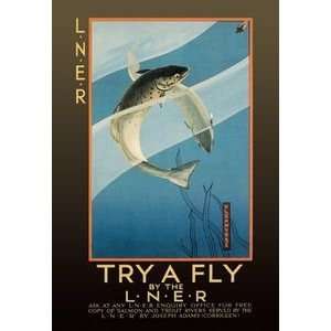  Try a Fly   Paper Poster (18.75 x 28.5)