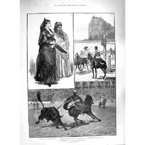  1888 SPANISH BULL FIGHT ROCK GIBRALTAR LADY DUENNA