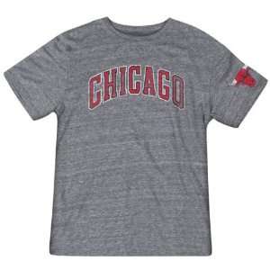  Mens Chicago Bulls Originals Grey Chicagos The Name Tri 