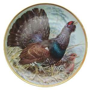   Porcelain Gamebirds of the World Basil Ede Capercaillie plate CP1886