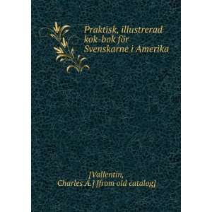  Praktisk, illustrerad kok bok fÃ¶r Svenskarne i Amerika 
