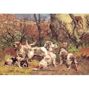  Griffon Vendeen Bassets 20x30 poster