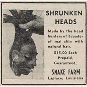  1956 Ad Shrunken Heads Snake Farm Laplace La. UNUSUAL 