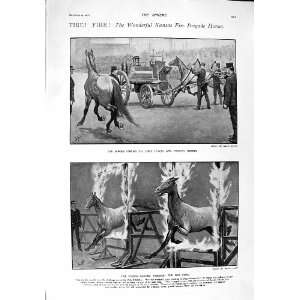  1900 KANSAS FIRE BRIGADE HORSES LADIES FASHION DRESSES 
