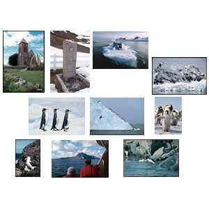    Postcard Set of 10   Antarctica Variety