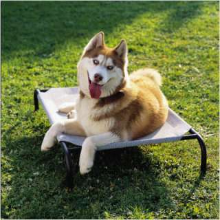 Coolaroo Elevated Dog Bed for Large Breeds  