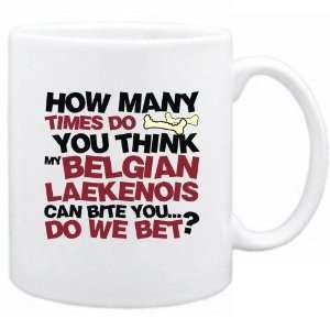  New  How Many Times Do You Think My Belgian Laekenois Can 