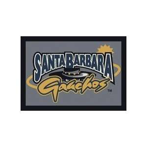  California (UC Santa Barbara) Gauchos 4 x 6 Team Door 